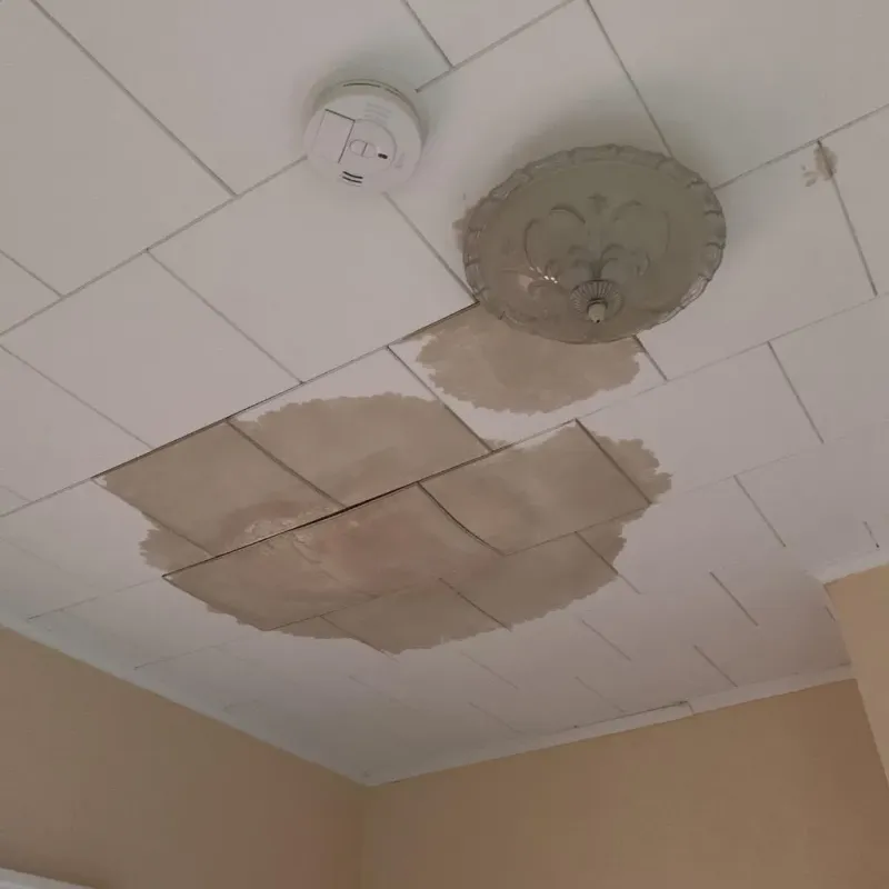 Ceiling Water Damage Repair in Thornport, OH