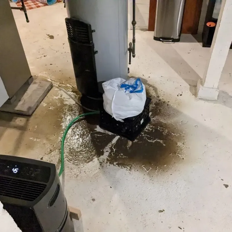 Sewage Backup Cleanup Service in Thornport, OH